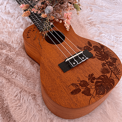 Musikschule Soundwalk Ukulele